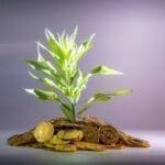 How to calculate return on investment (ROI) growing tree
