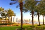 Green, sunny park in Dubai, surrounded by modern buildings.