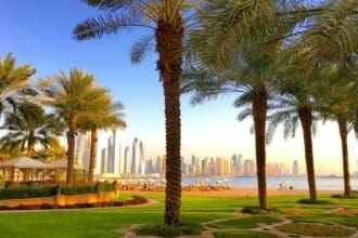 Green, sunny park in Dubai, surrounded by modern buildings.