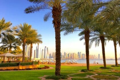 Green, sunny park in Dubai, surrounded by modern buildings.