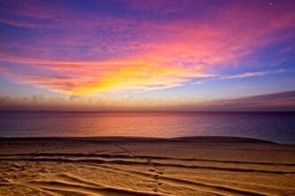 Panoramic view of Umm Suqeim Beach in Dubai featuring the coastline and modern urban infrastructure.